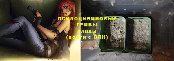 apvp Кинешма