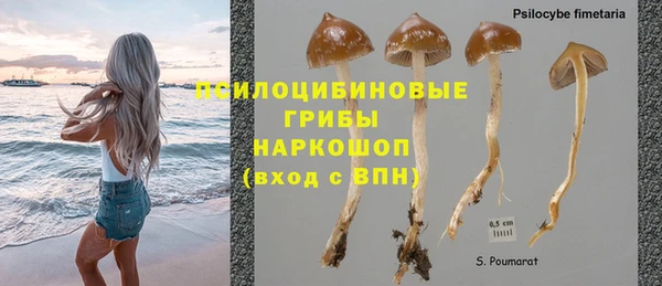 apvp Кинешма